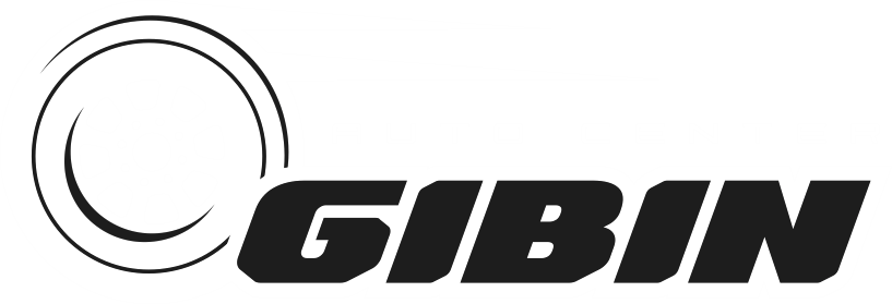 logo auto center pb
